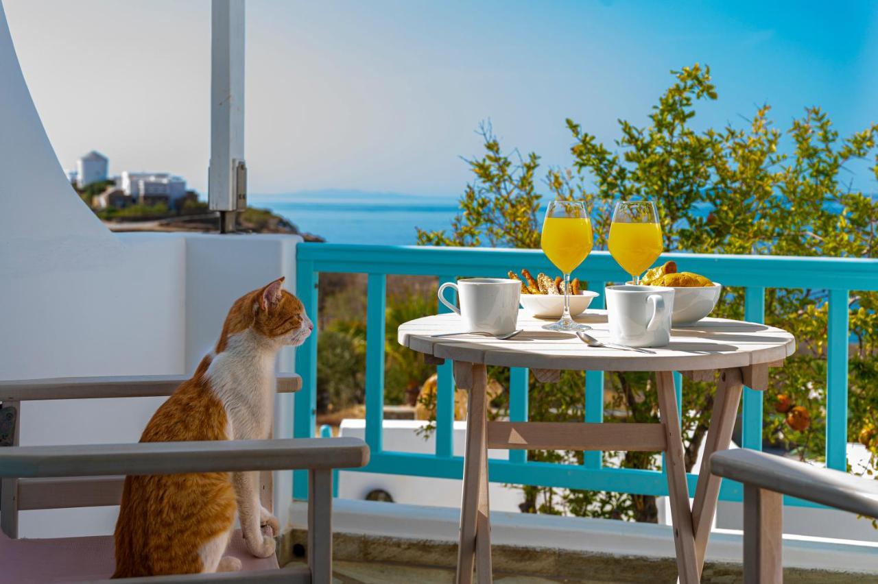 Aegean Dream Apartments Tínos Esterno foto